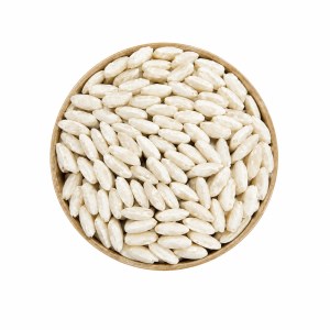 مغز اتودی پاندا